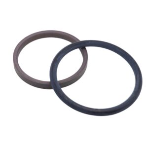 Busak+Shamban RT0100250-T46N Dichtung Turcon Glyd-Ring Batch 837480 CD.200