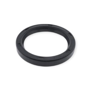 Maso 29-3100-80 Radial Wellendichtung NBR/Niro