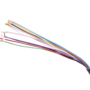 Burgess CR1S Microschalter